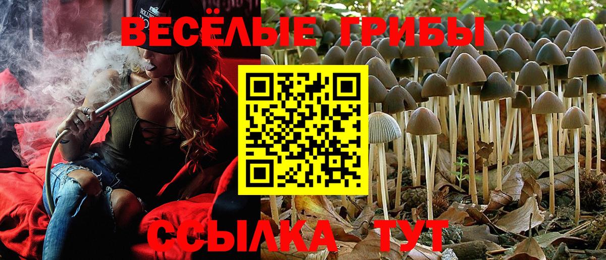 наркошоп  Псилоцибиновые грибы мухоморы  Псилоцибиновые грибы мицелий  Вход с VPN  Нерюнгри 